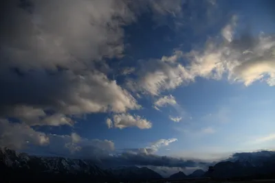 DSC_7065 (Large).JPG